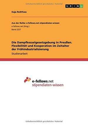 Die Dampfkesselgesetzgebung in Preußen. Flexibilität und Kooperation im Zeitalter der Frühindustrialisierung de Kaja Rothfuss