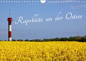 Rapsblüte an der Ostsee (Wandkalender 2023 DIN A4 quer) de Ro BRA - Rolf Braun Ostseefotograf