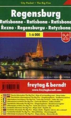 Regensburg City Pocket 1 : 6 000