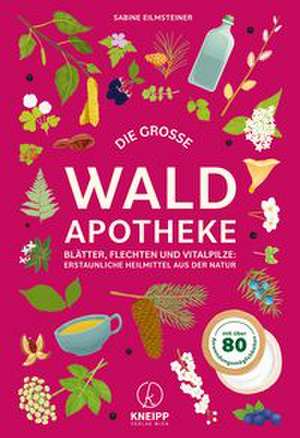 Die große Waldapotheke de Sabine Eilmsteiner