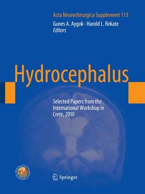 Hydrocephalus: Selected Papers from the International Workshop in Crete, 2010 de Gunes A. Aygok