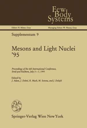 Mesons and Light Nuclei ’95: Proceedings of the 6th International Conference, Stráž pod Ralskem, July 3–7, 1995 de J. Adam