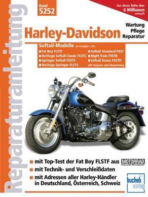 Harley-Davidson Softail-Modelle / Modelljahre 2000 bis 2004