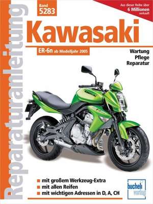 Kawasaki ER-6n ab Modelljahr 2005 de Franz J. Schermer