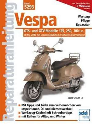 Vespa GTS 125/250/300 - ab Modelljahr 2005 de Franz Josef Schermer