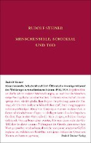 Menschenseele, Schicksal und Tod de Rudolf Steiner