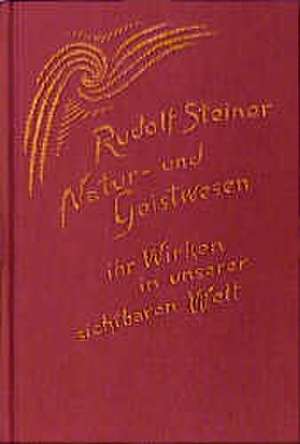 Natur- und Geistwesen, ihr Wirken in unserer sichtbaren Welt de Rudolf Steiner