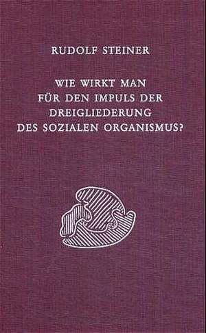 Wie wirkt man für den Impuls der Dreigliederung des sozialen Organismus? de Rudolf Steiner