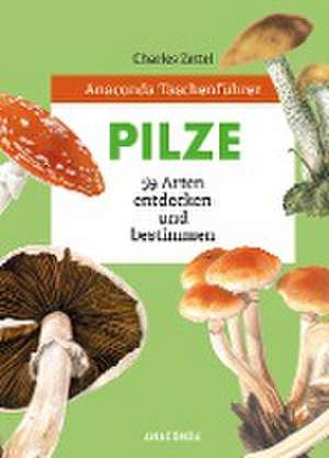 Anaconda Taschenführer Pilze. 59 Arten entdecken und bestimmen de Charles Zettel