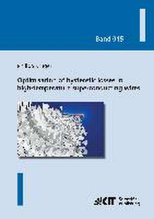 Optimisation of hysteretic losses in high-temperature superconducting wires de Philipp Krüger