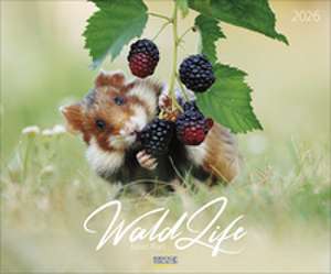 WaldLife 2026 de Verlag Korsch