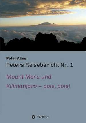 Peters Reisebericht NR. 1: Wie Ich Meine Chronischen Krankheiten, Konflikte Und Krisen Heilte Und Meine Kuhnsten Traume Ubertraf de Peter Alles