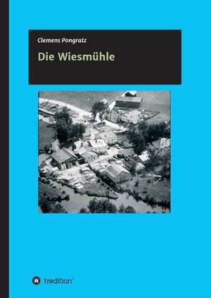 Die Wiesmühle de Clemens Pongratz
