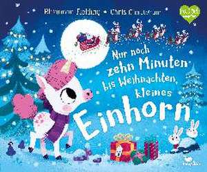 Nur noch zehn Minuten bis Weihnachten, kleines Einhorn de Rhiannon Fielding