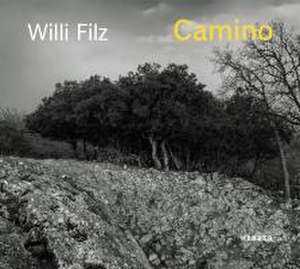 Camino de Willi Filz