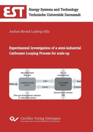 Experimental Investigation of a semi-industrial Carbonate Looping Process for scale-up de Jochen Bernd Ludwig Hilz