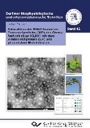 Interaktion des RNA2-kodierten Transportproteins (MP) des Cherry leaf roll virus (CLRV) mit dem viralen Hüllprotein (CP) und pflanzlichen Wirtsfaktoren de Luise Dierker