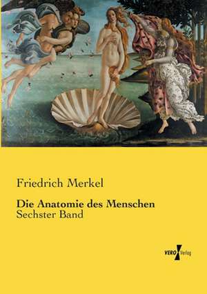 Die Anatomie des Menschen de Friedrich Merkel