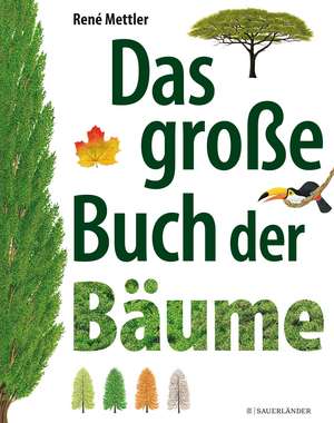 Das große Buch der Bäume de René Mettler