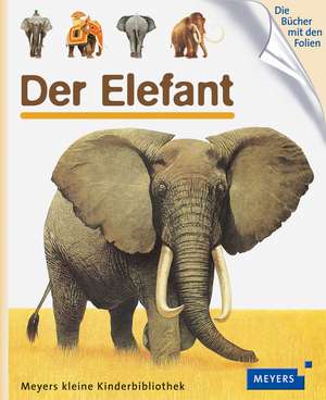 Der Elefant de Claude Delafosse