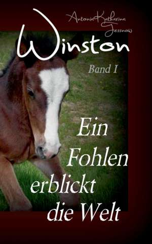 Winston - Ein Fohlen erblickt die Welt de Antonia Katharina Tessnow