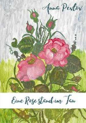 Eine Rose stand im Tau de Anna Pevlov