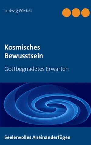 Kosmisches Bewusstsein de Ludwig Weibel