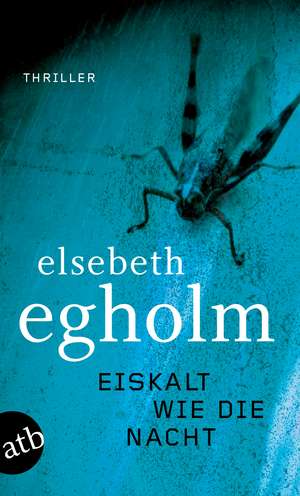 Eiskalt wie die Nacht de Elsebeth Egholm