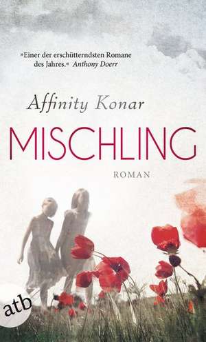 Mischling de Affinity Konar