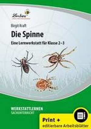 Die Spinne de Birgit Kraft