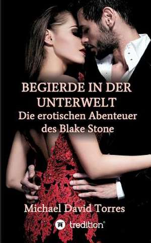 Begierde in der Unterwelt - Die erotischen Abenteuer des Blake Stone de Michael David Torres