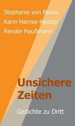 Unsichere Zeiten de Renate Haußmann