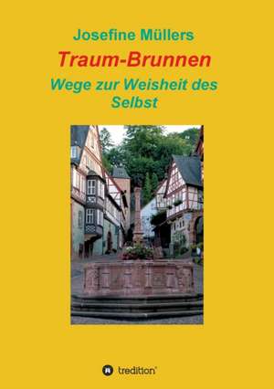 Traum-Brunnen - Wege zur Weisheit des Selbst de Josefine Müllers