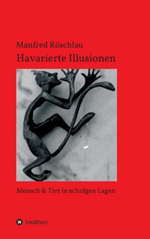 Havarierte Illusionen de Manfred Röschlau