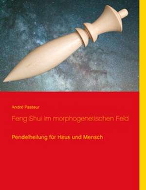 Feng Shui im morphogenetischen Feld de André Pasteur