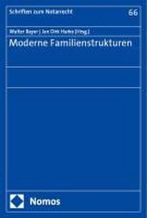 Moderne Familienstrukturen de Walter Bayer