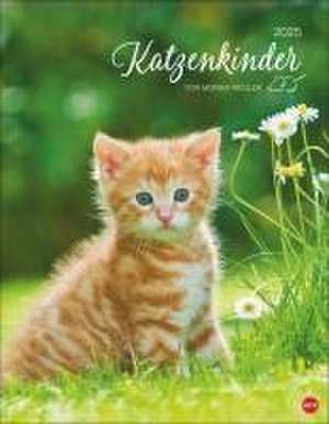 Katzenkinder Posterkalender 2025 de Monika Wegler