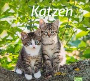 Katzen Bildkalender 2025 de Heye