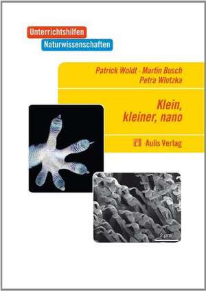 Klein, kleiner, nano: Unterrichtshilfen Naturwissenschaften Chemie de Patrik Woldt