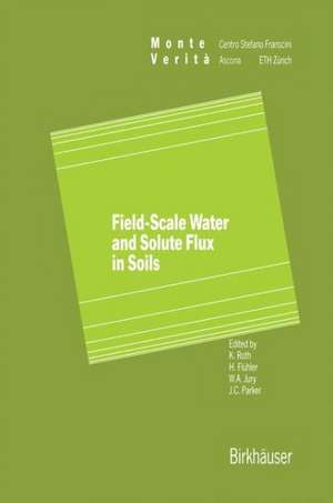 Field-Scale Water and Solute Flux in Soils de Roth