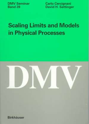 Scaling Limits and Models in Physical Processes de Carlo Cercignani