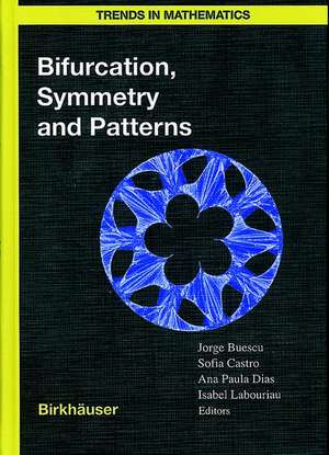 Bifurcation, Symmetry and Patterns de Jorge Buescu