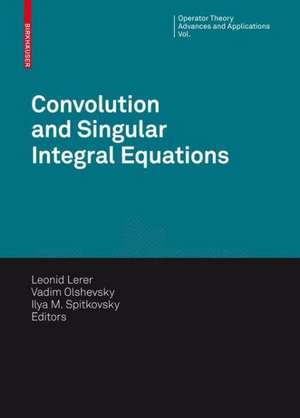 Convolution Equations and Singular Integral Operators: Selected Papers de Leonid Lerer