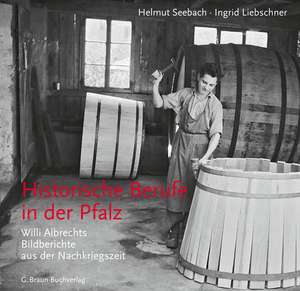 Historische Berufe in der Pfalz de Helmut Seebach