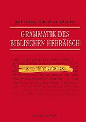 Grammatik des Biblischen Hebräisch de Jan P. Lettinga