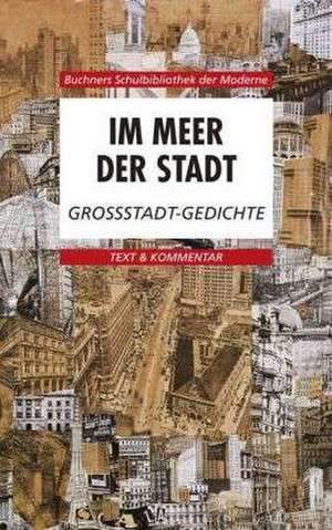 Im Meer der Stadt. Großstadt-Gedichte. Text und Kommentar de Karl Hotz