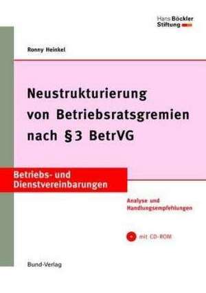 Neustrukturierung von Betriebsratsgremien nach § 3 BetrVG de Ronny Heinkel