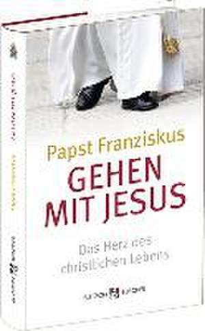 Gehen mit Jesus de Papst Franziskus