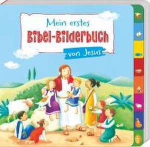 Mein erstes Bibel-Bilderbuch von Jesus de Cordula Janusch