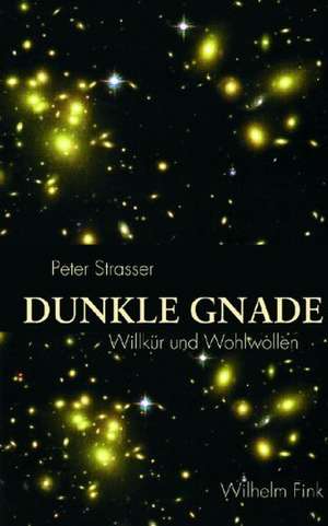 Dunkle Gnade de Peter Strasser